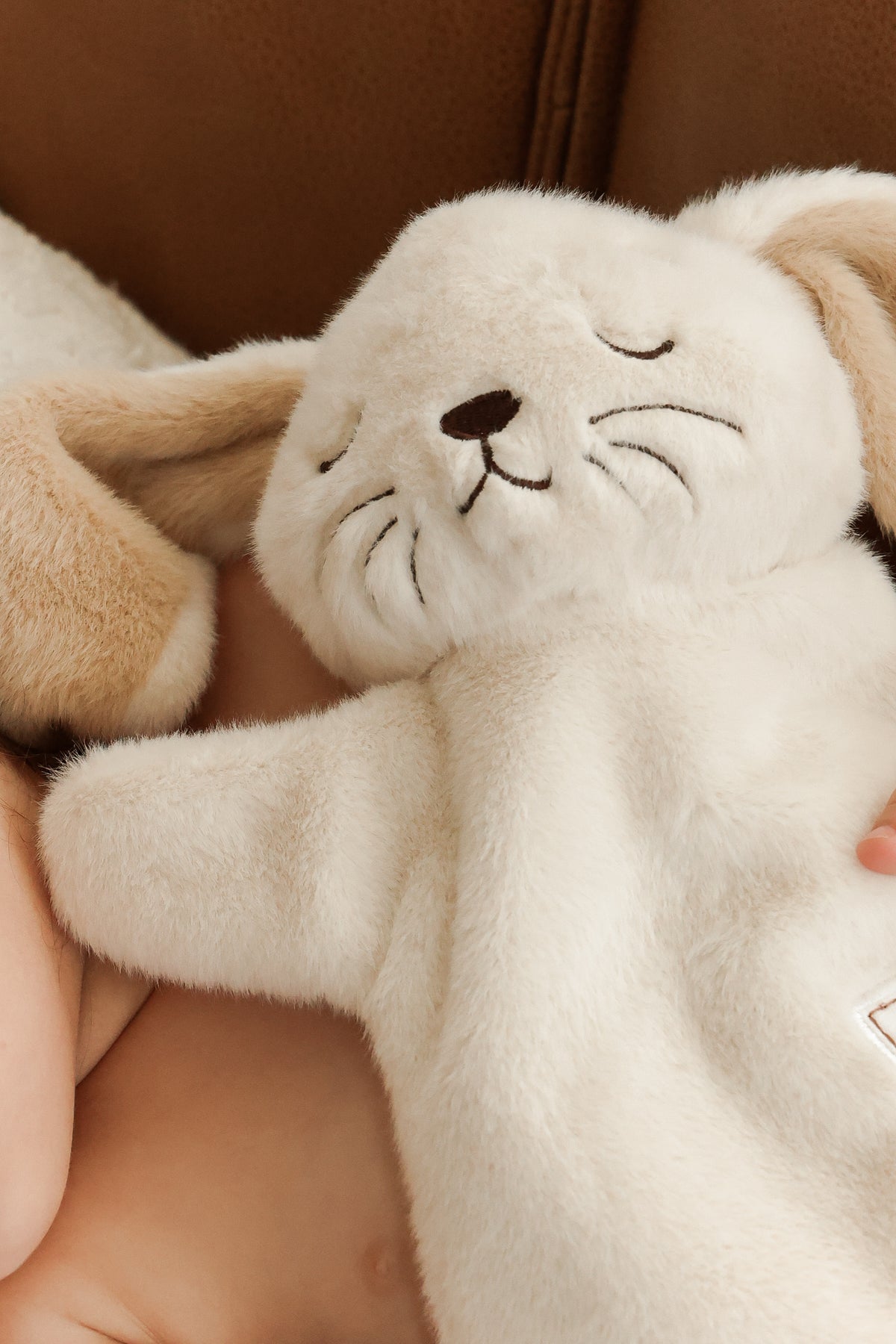 soft bunny toy
