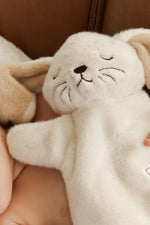 soft bunny toy