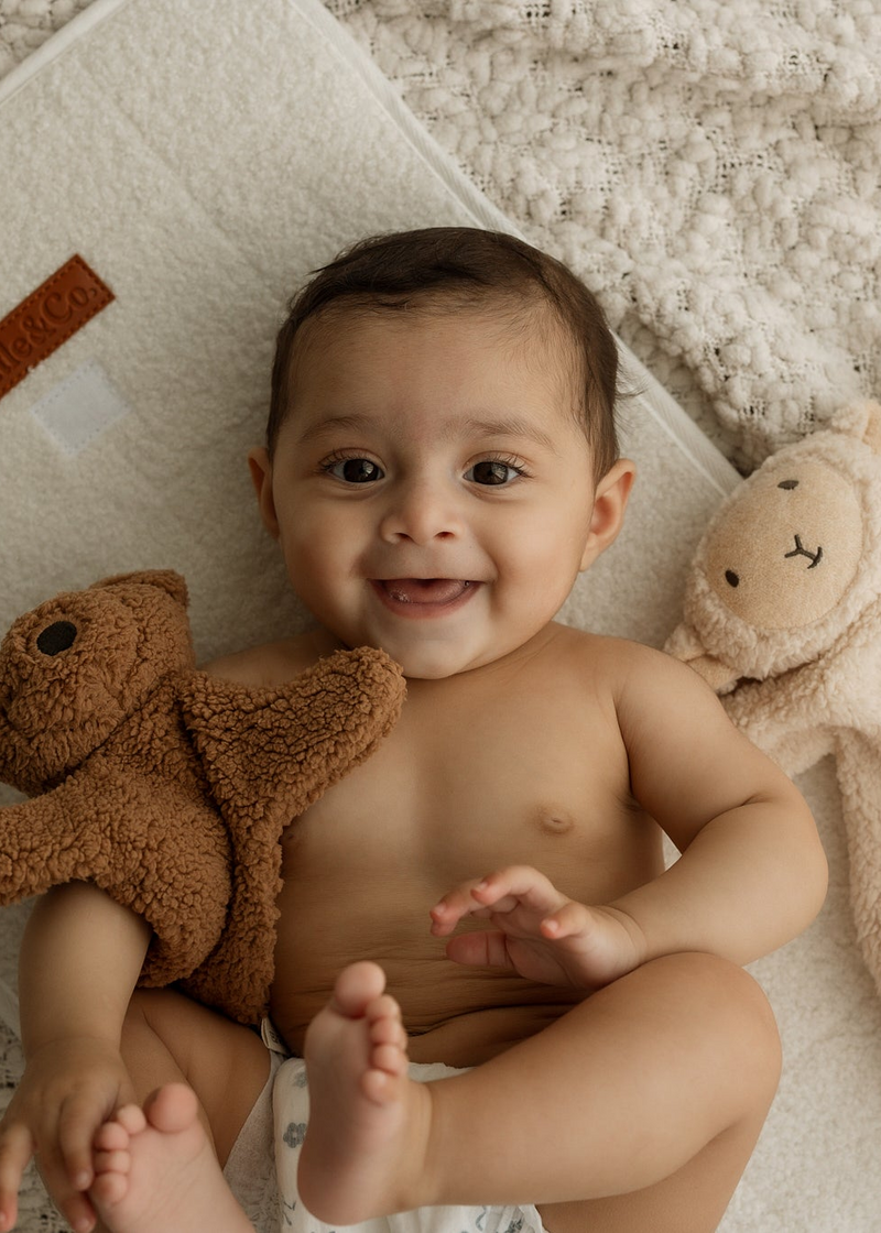 Teddy Cuddly